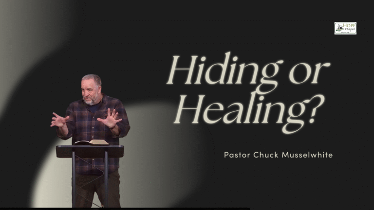 Read more about the article Hiding or Healing