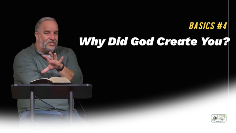 Read more about the article Why Did God Create Everything?
