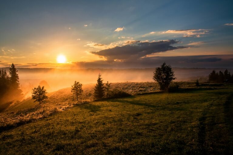 Read more about the article Joy Comes in the Morning